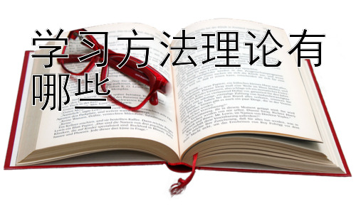学习方法理论有哪些，不同学习风格的学习方法策略插图