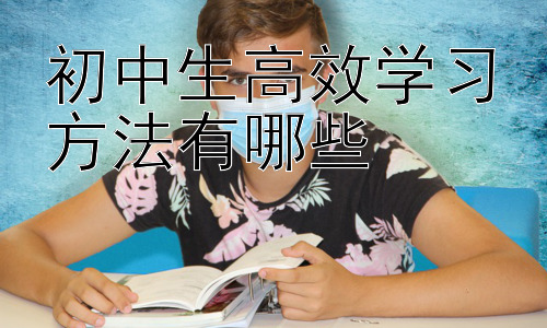 初中生高效学习方法有哪些，初中生高效学习的误区与应对策略插图