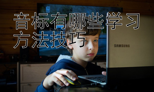 音标有哪些学习方法技巧，  高效音标学习：突破学习瓶颈的策略插图