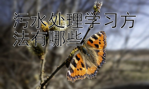 污水处理学习方法有哪些，污水处理学习中的常见误区与应对策略插图