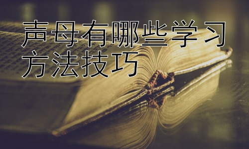 声母有哪些学习方法技巧，利用游戏提升声母学习效率插图