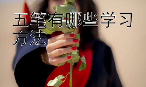 五笔有哪些学习方法，五笔学习中的常见问题及解决方案插图