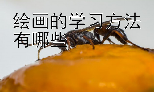 绘画的学习方法有哪些，绘画学习中的常见误区及应对方法插图