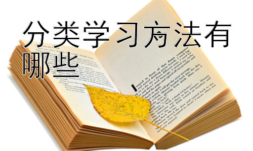 分类学习方法有哪些，拓展：如何根据不同科目选择合适的分类学习方法？插图