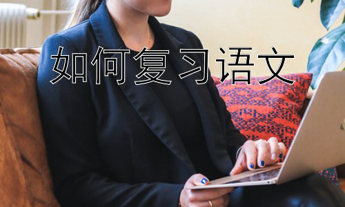 如何复习语文，高效语文复习的策略与方法插图