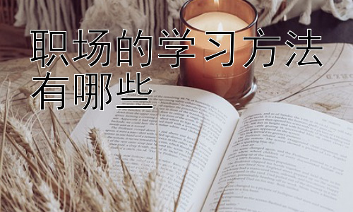 职场的学习方法有哪些，  职场学习与个人成长：如何打造学习型人格插图