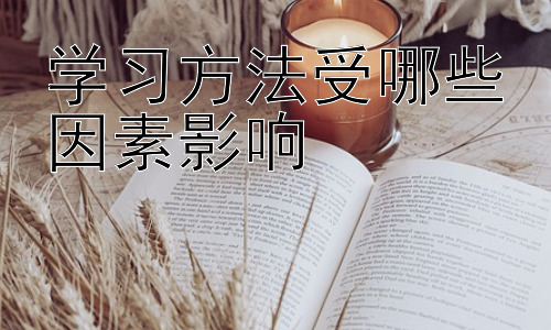 学习方法受哪些因素影响，学习方法的优化与提升：策略与实践插图