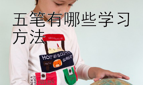 五笔有哪些学习方法，五笔学习方法的进阶技巧：如何提高输入速度和准确率插图
