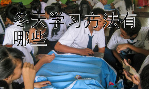 冬天学习方法有哪些，战胜冬季学习倦怠：积极性与效率的平衡插图