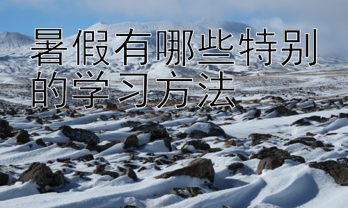 暑假有哪些特别的学习方法，暑假高效学习：时间管理与学习策略插图