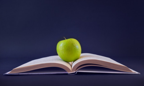 高中数学的解题技巧有哪些，高中数学解题中的常见错误及避免方法插图2