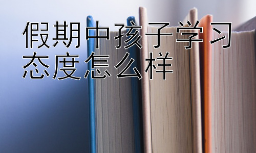 假期中孩子学习态度怎么样，假期学习与长期发展规划的衔接插图