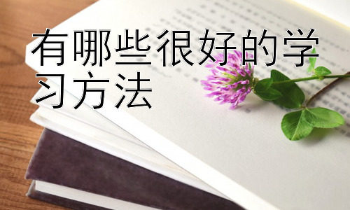 有哪些很好的学习方法，如何克服拖延症并提高学习效率插图
