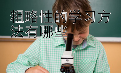粗略性的学习方法有哪些，  如何将粗略学习方法转化为高效学习策略插图