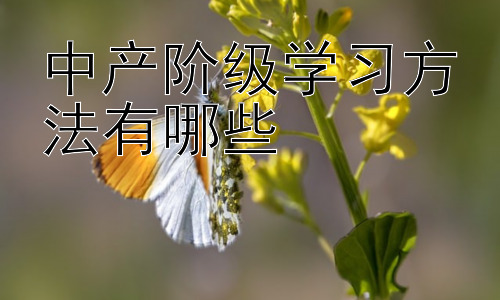 中产阶级学习方法有哪些，  中产阶级学习方法的误区与调整插图