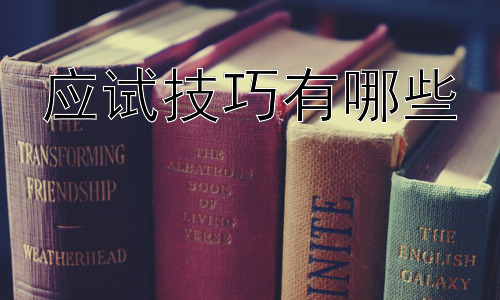 应试技巧有哪些，高效复习策略：如何制定个性化复习计划插图