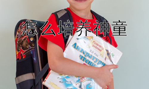 怎么培养神童，从多元视角解读“神童”培养：破除误区，关注全面发展插图