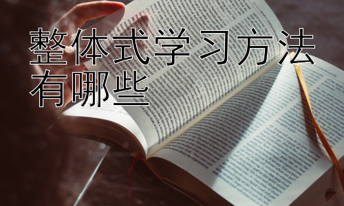 整体式学习方法有哪些，第二阶段：如何提升整体式学习的效率插图