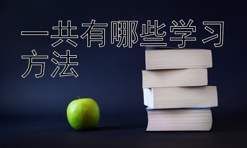 一共有哪些学习方法，不同学习风格下的学习方法选择插图
