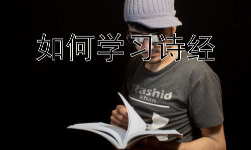 如何学习诗经，《诗经》学习中的误区与应对策略插图