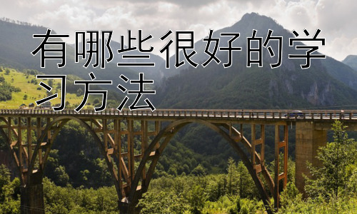 有哪些很好的学习方法，不同学习风格的学习方法选择插图