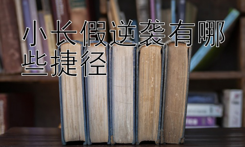小长假逆袭有哪些捷径，假期学习效率提升的策略：从被动到主动插图