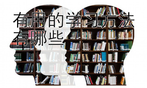 有用的学习方法有哪些，  学习方法的个性化选择与调整插图