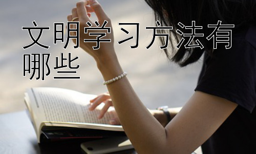 文明学习方法有哪些，学习方法的个性化与适应性调整插图