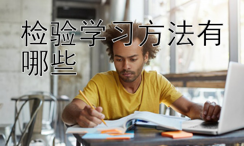 检验学习方法有哪些，学习方法的个性化定制与实施插图