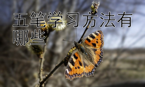五笔学习方法有哪些，五笔输入法学习中的常见问题及解决方法插图