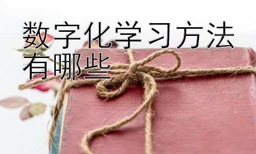 数字化学习方法有哪些，数字化学习中的挑战与应对策略插图