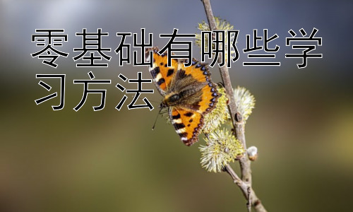 零基础有哪些学习方法，从零基础到精通：构建你的学习金字塔插图
