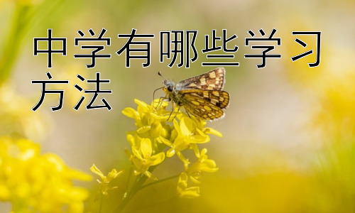 中学有哪些学习方法，高效学习的策略：提升专注力和记忆力插图