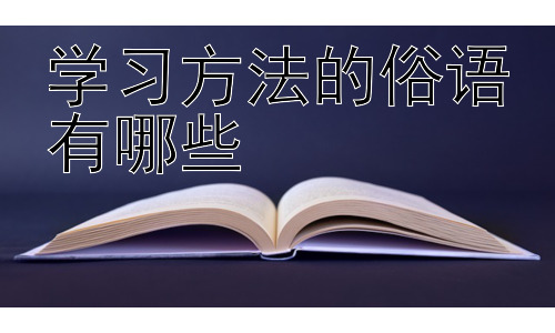 学习方法的俗语有哪些，  学习方法的俗语与现代学习策略的结合插图