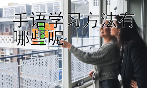 手语学习方法有哪些呢，手语学习中的常见误区及应对策略插图