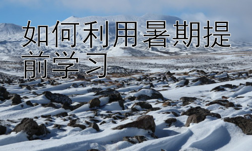 如何利用暑期提前学习，高效暑期预习：学科交叉与深度学习插图