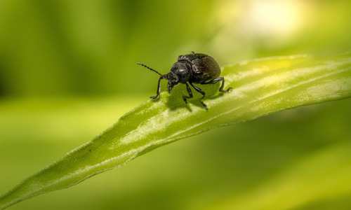 一节什么样的课初一生物，初一生物教学中如何激发学生的学习兴趣插图