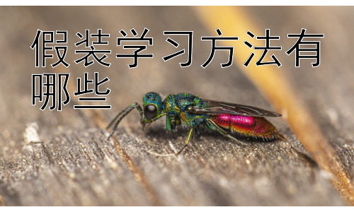 假装学习方法有哪些，假装学习真的是一种“错”吗？-图片1