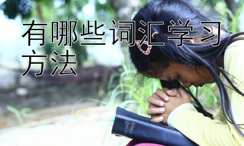 有哪些词汇学习方法，词汇学习的误区与突破？插图