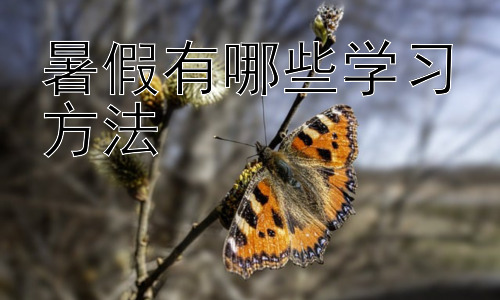暑假有哪些学习方法，暑假学习应该避免哪些误区？插图