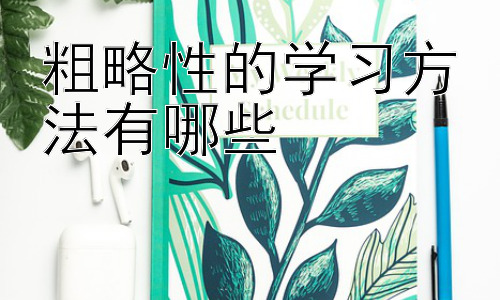 粗略性的学习方法有哪些，粗略性学习方法会影响我们更精细化的学习吗？-图片1