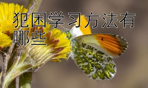 犯困学习方法有哪些，为什么学习时容易犯困，如何从根源解决？插图