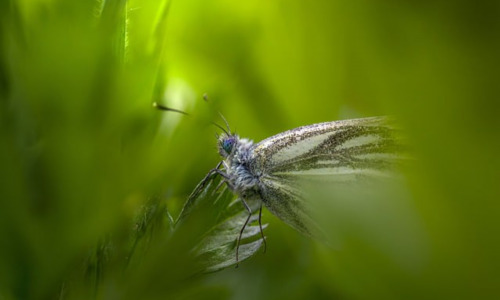 迷你世界生物高度多少可以生存，为什么迷你世界生物摔落伤害机制如此重要？插图