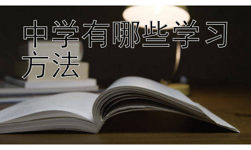 中学有哪些学习方法，如何找到最适合自己的学习方法？插图