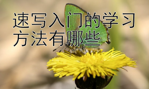 速写入门的学习方法有哪些，学习速记的过程中，可能遇到的问题有哪些？插图
