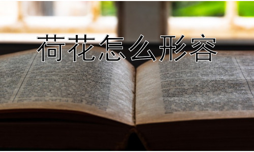 荷花怎么形容，荷花为什么这么受喜爱？插图