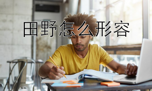 田野怎么形容，为什么我们如此迷恋田野？插图