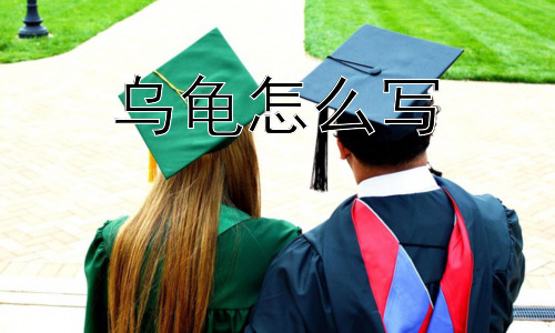 乌龟怎么写，为什么人们会对乌龟有特殊的感情和印象？插图