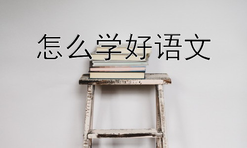怎么学好语文， 语文学习有没有“速成”的方法？插图