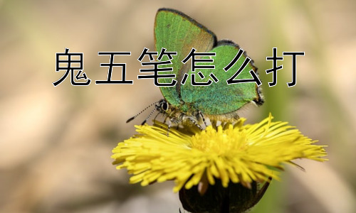 鬼五笔怎么打，为什么会存在“鬼五笔”？插图